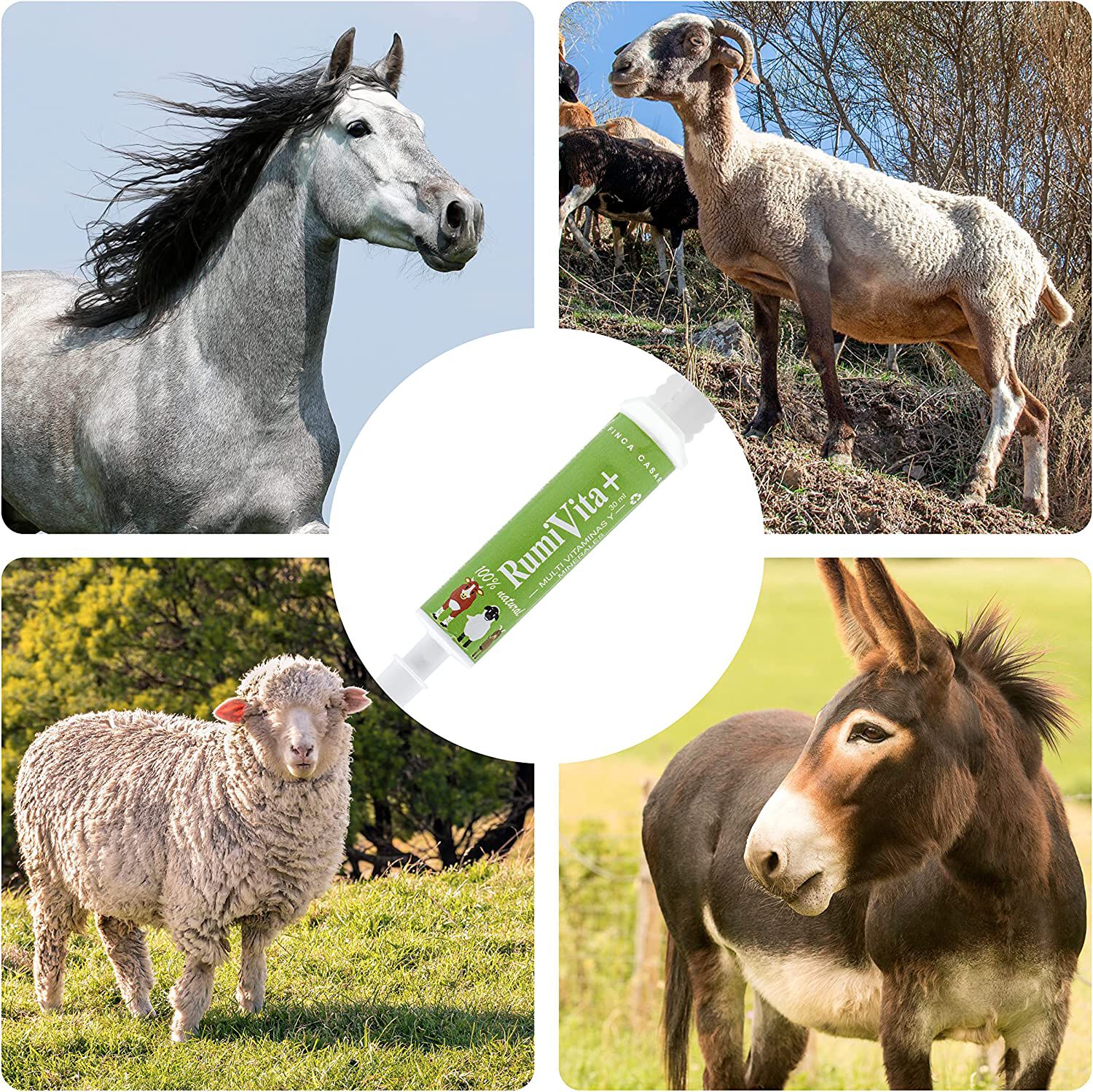 Finca casarejo rumivita suplemento alimenticio natural para rumiantes, , large Imagen numero 4